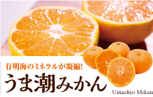うま潮みかん