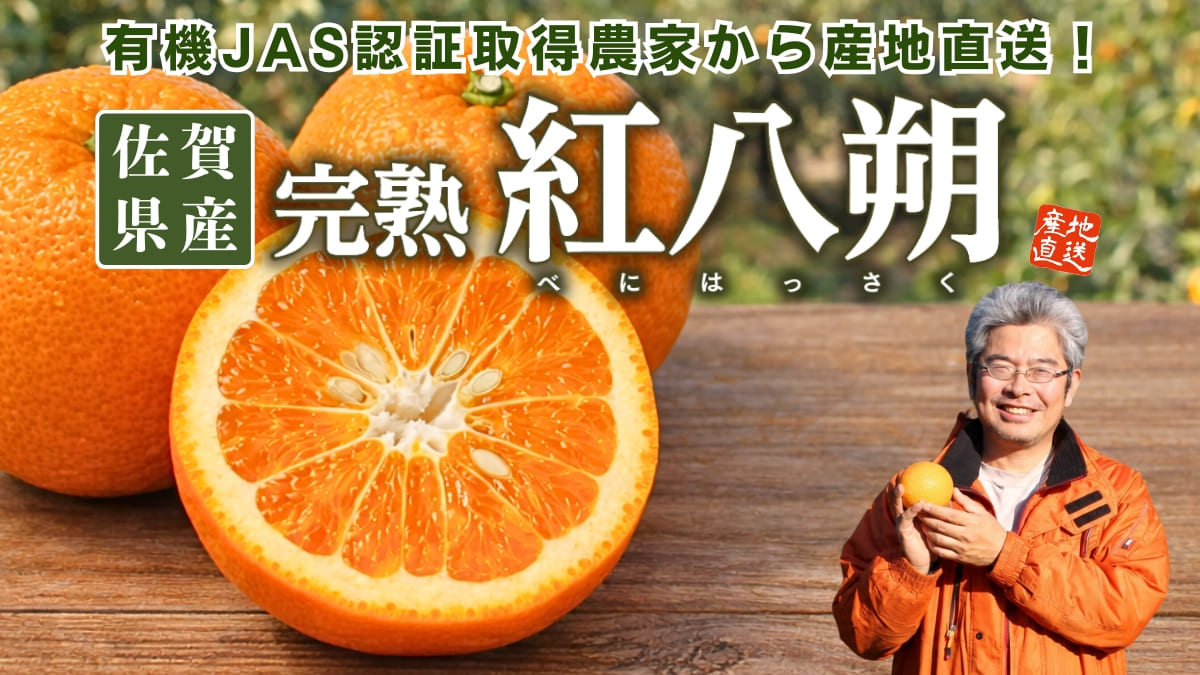 佐賀県産 完熟紅八朔