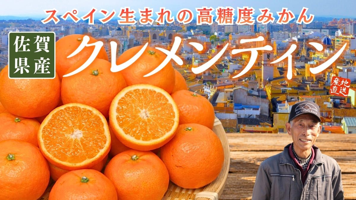 佐賀県産 クレメンティン