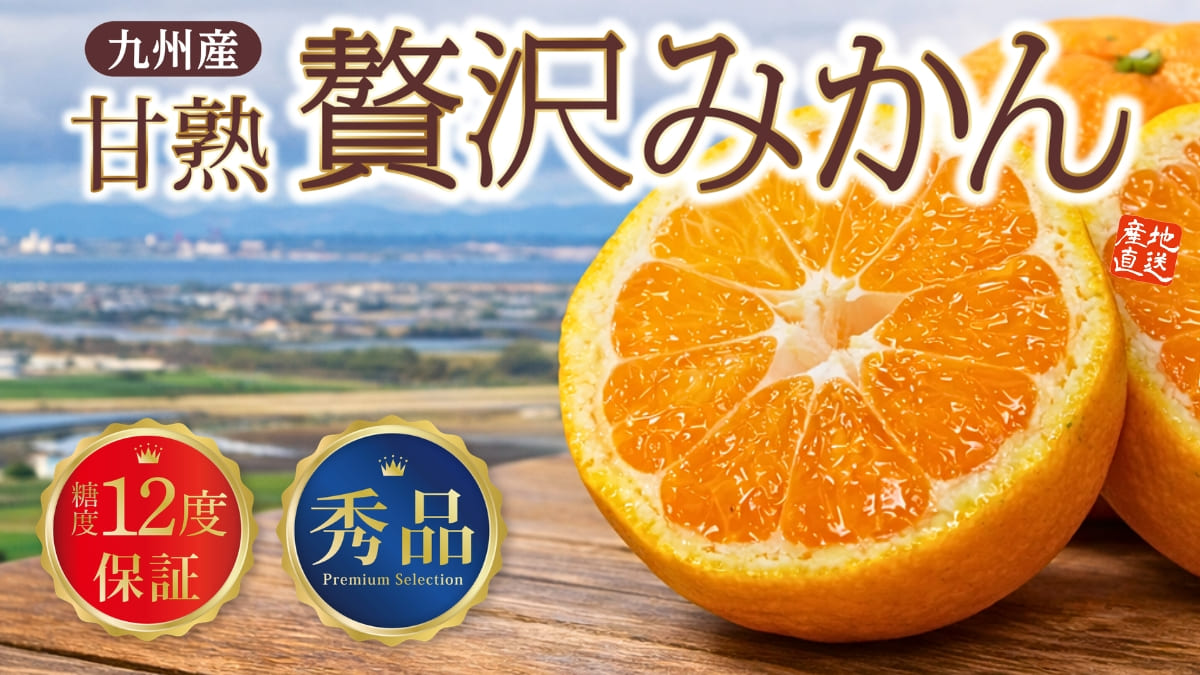 九州産 甘熟贅沢みかん