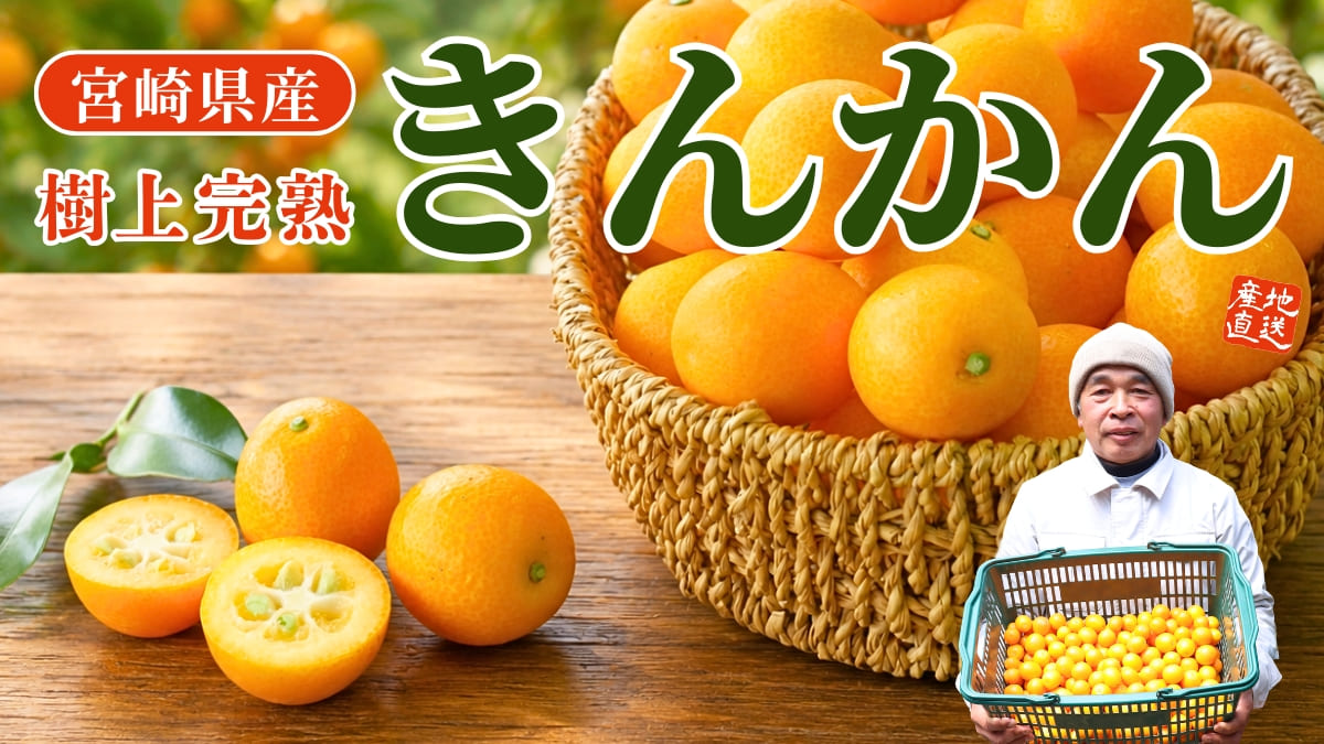 宮崎県産 樹上完熟きんかん