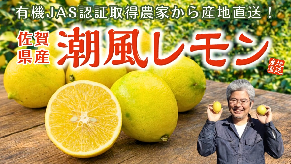 佐賀県産 潮風レモン