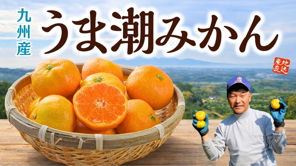九州産 うま潮みかん