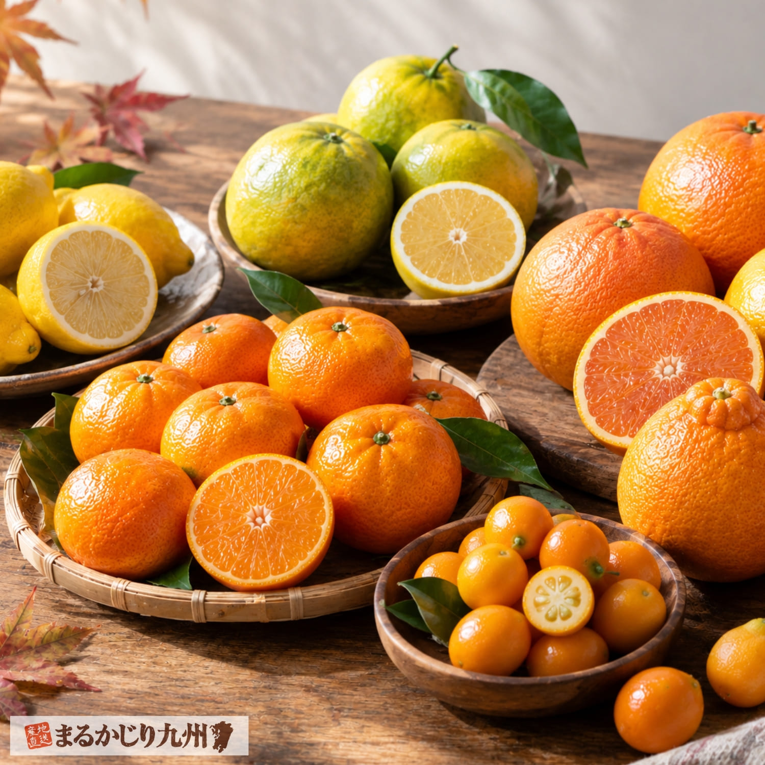 秋から冬に旬を迎える九州産のレモンやみかんなどさまざまな柑橘