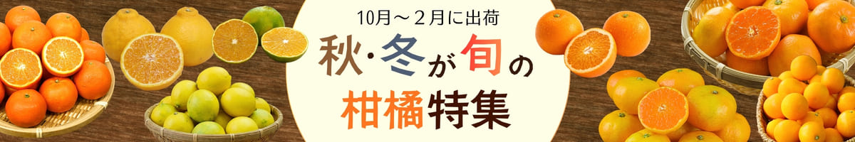 【秋・冬が旬の九州産柑橘特集】みかん・レモンなど旬の柑橘をお取り寄せ