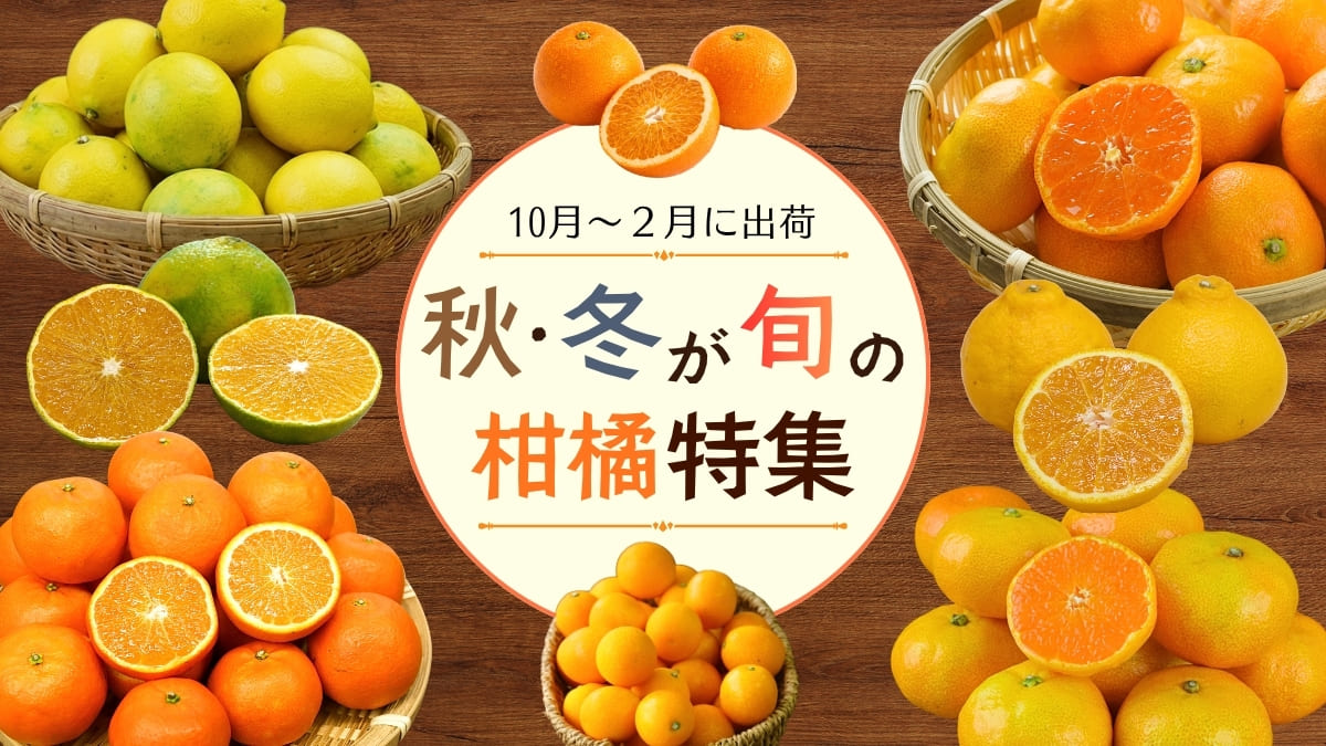秋から冬に旬を迎える九州産柑橘を集めた柑橘特集