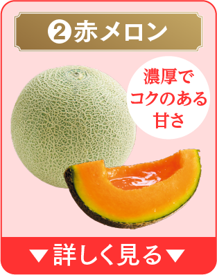 2.赤メロン 詳しく見る