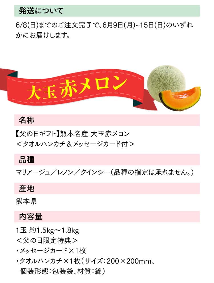 大玉赤メロンの成分表1