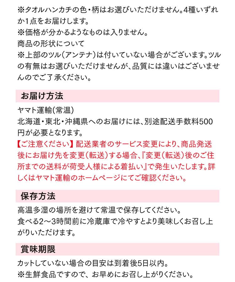 大玉赤メロンの成分表2