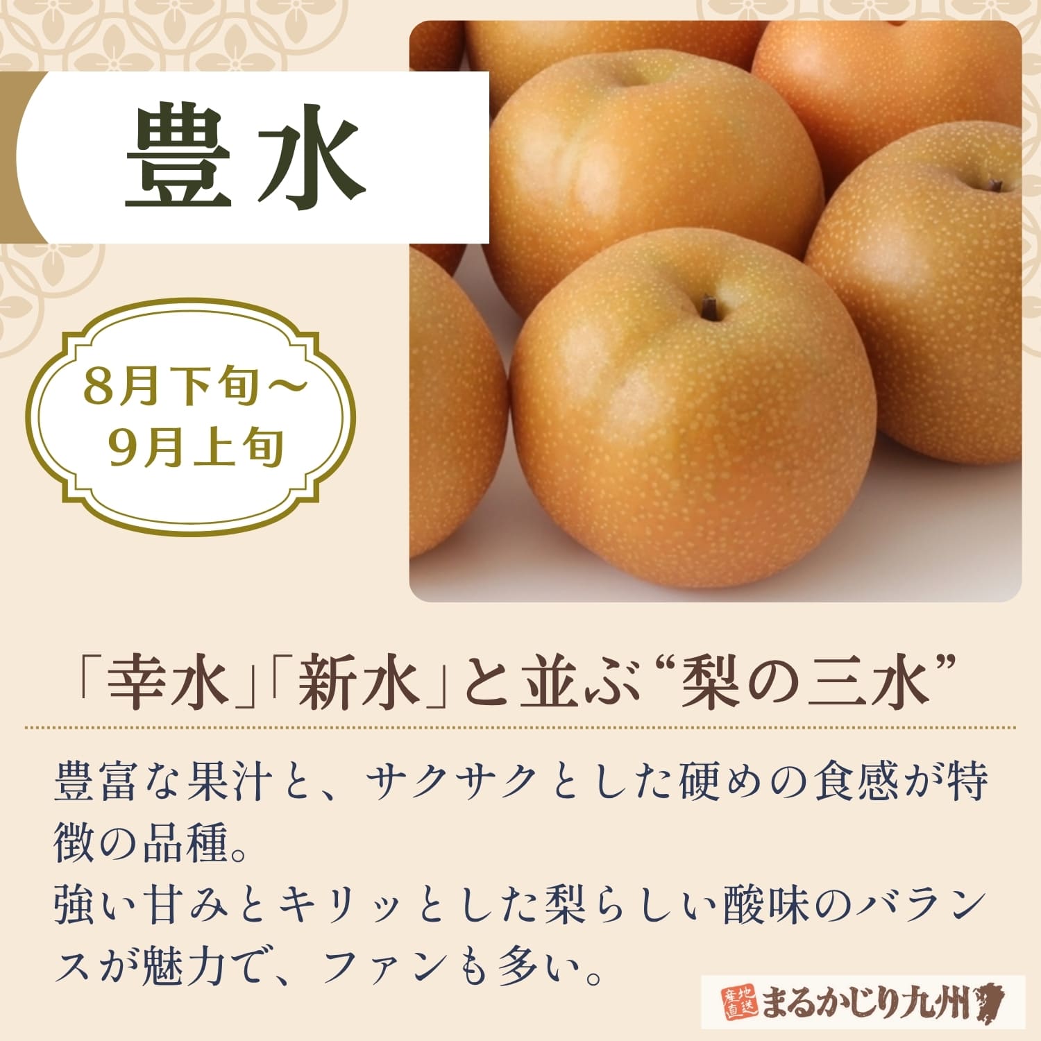 伊万里梨 豊水の特徴と魅力
