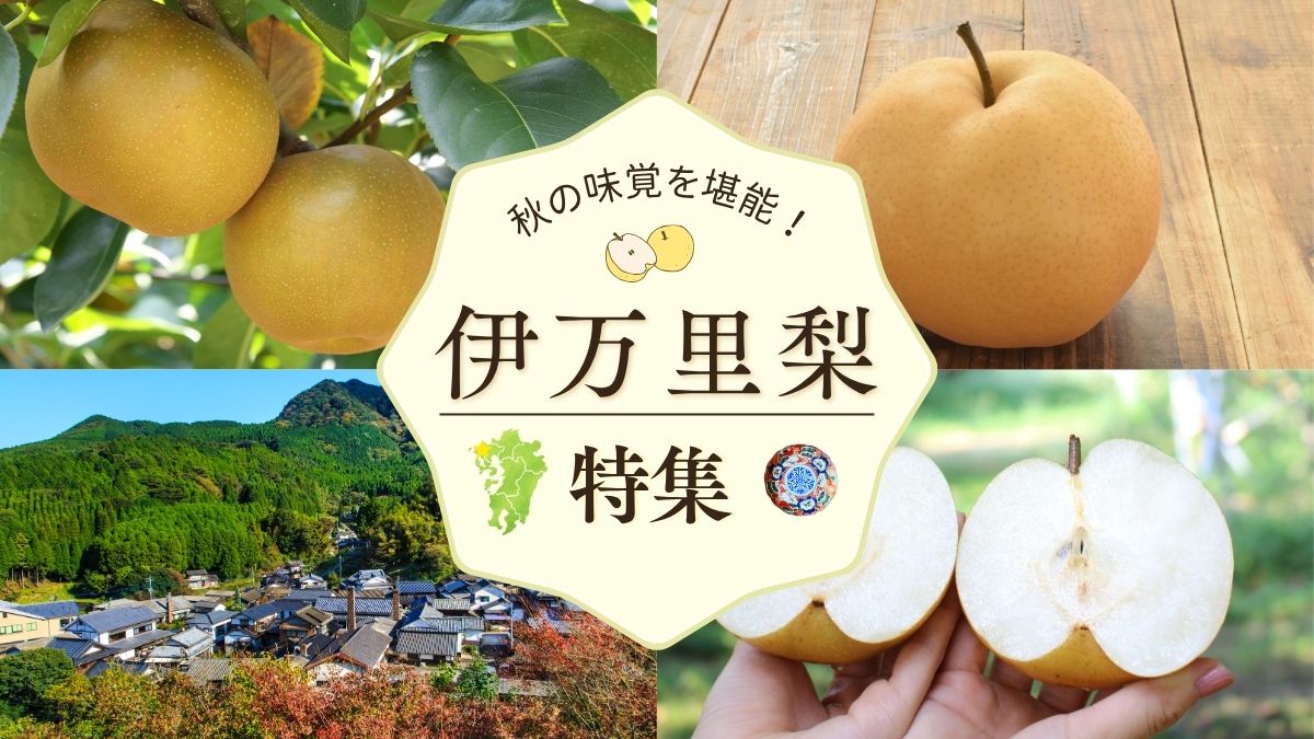 伊万里梨特集
