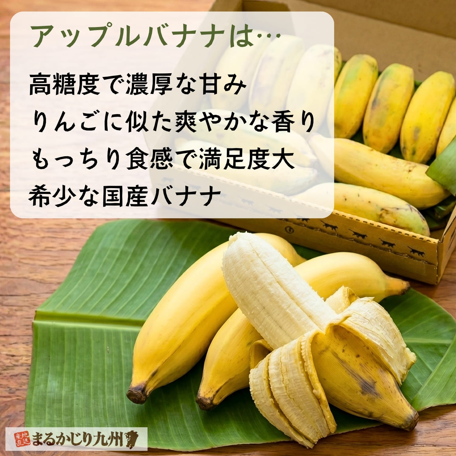 アップルバナナの特徴と魅力