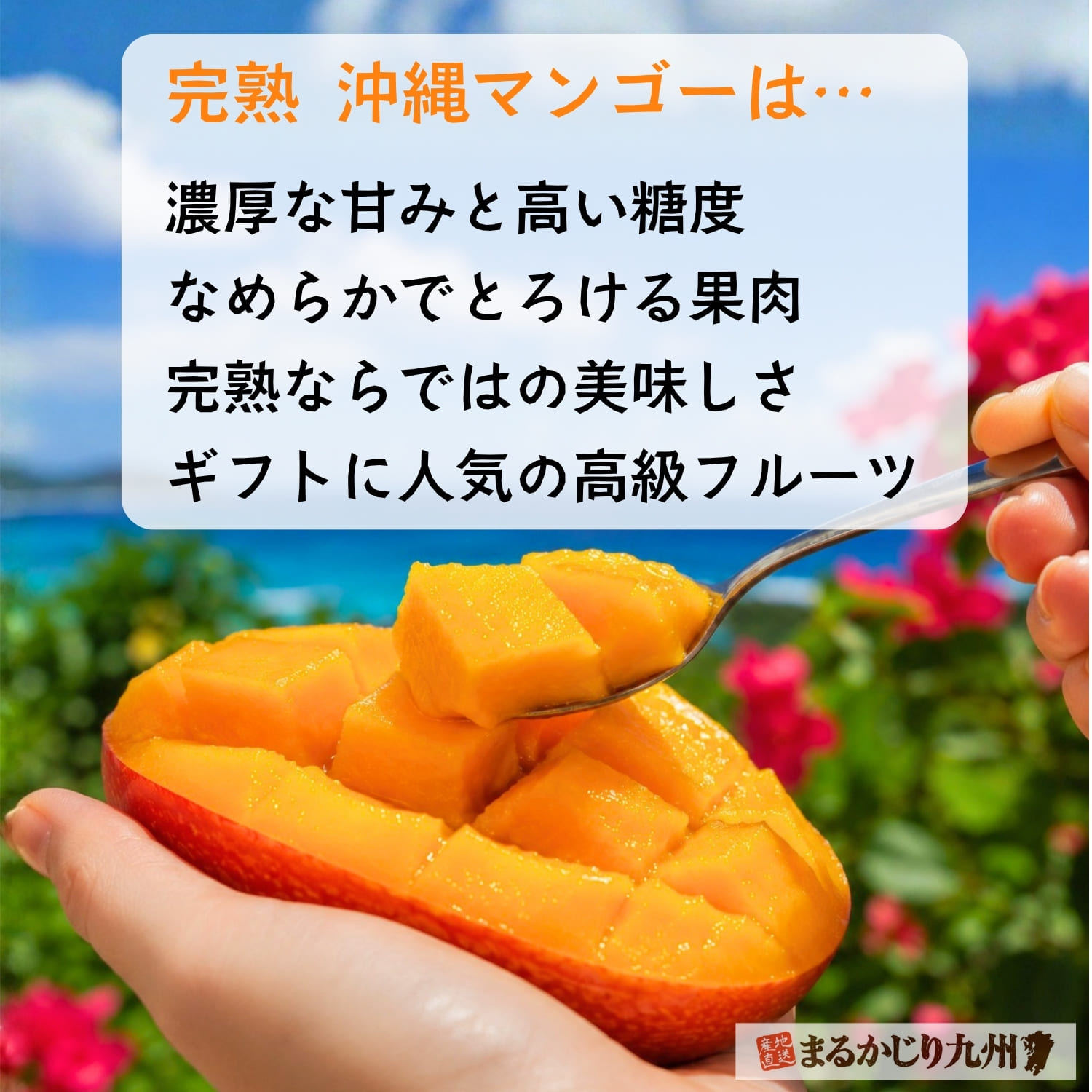 沖縄マンゴーの特徴と魅力