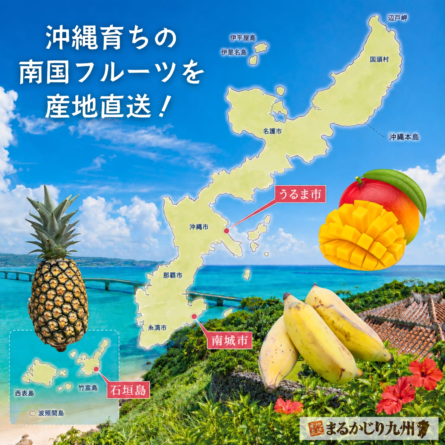 沖縄県産フルーツを産地直送でお届け