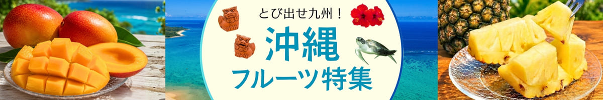 沖縄フルーツ特集