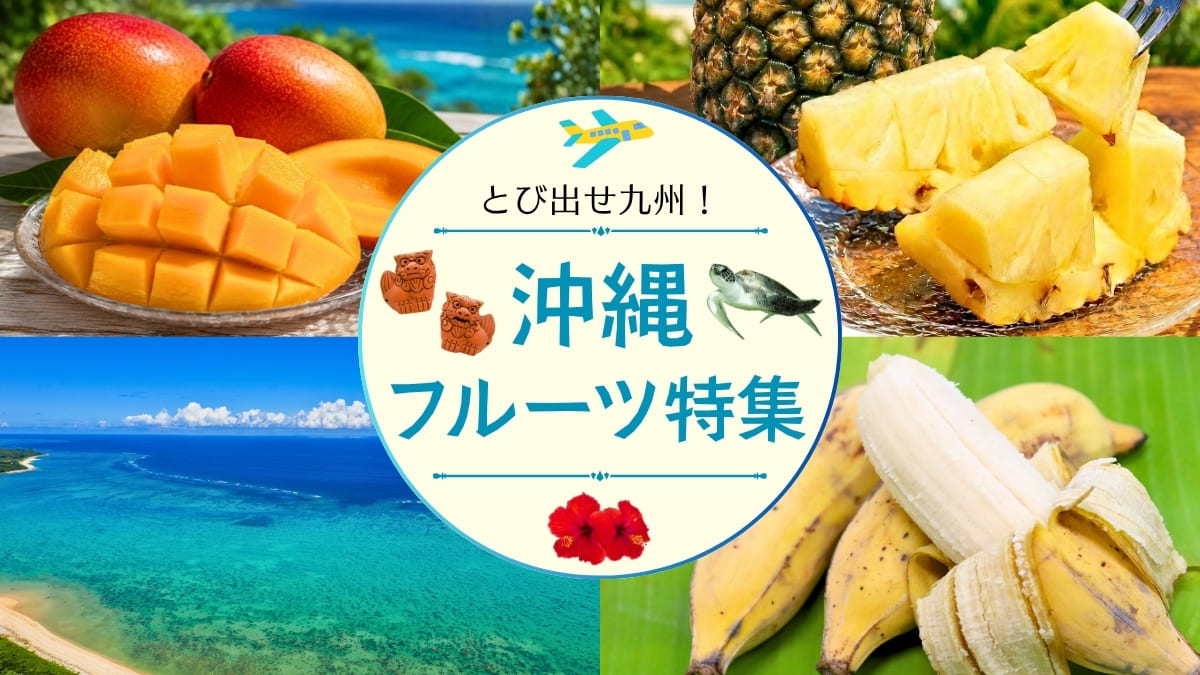 沖縄フルーツ特集