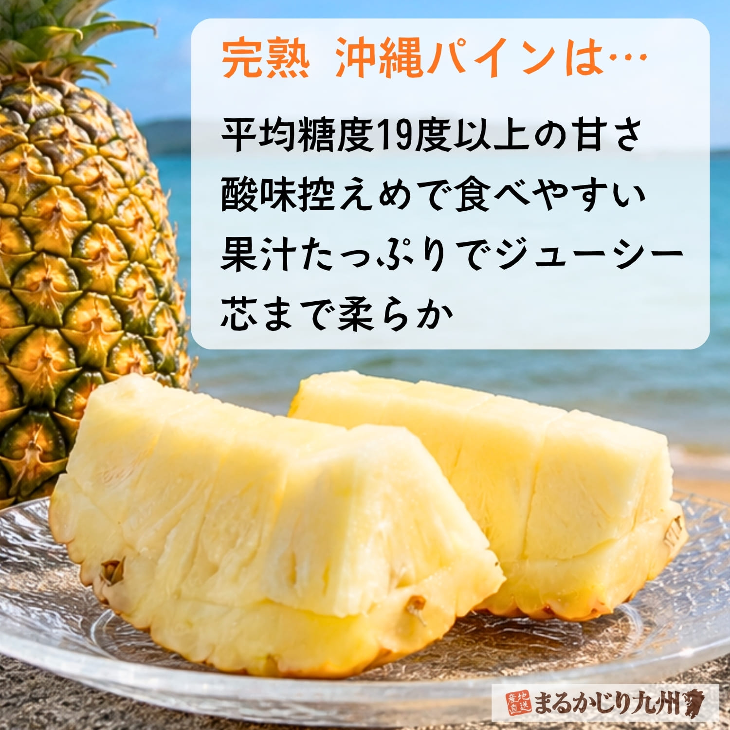 沖縄パインの特徴と魅力