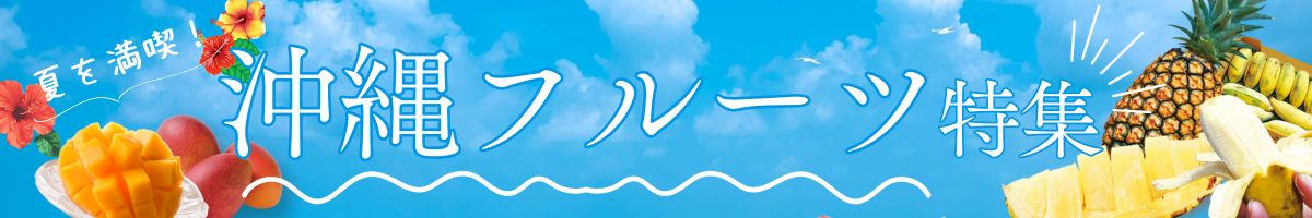 人気商品ランキング