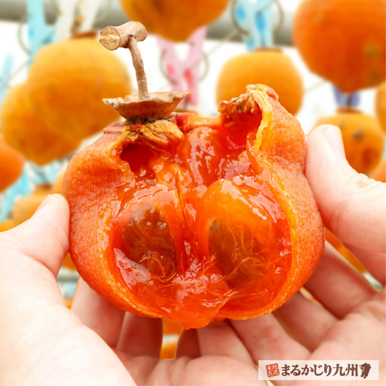 福岡と熊本の干し蜜柿を楽しむ九州の和スイーツ