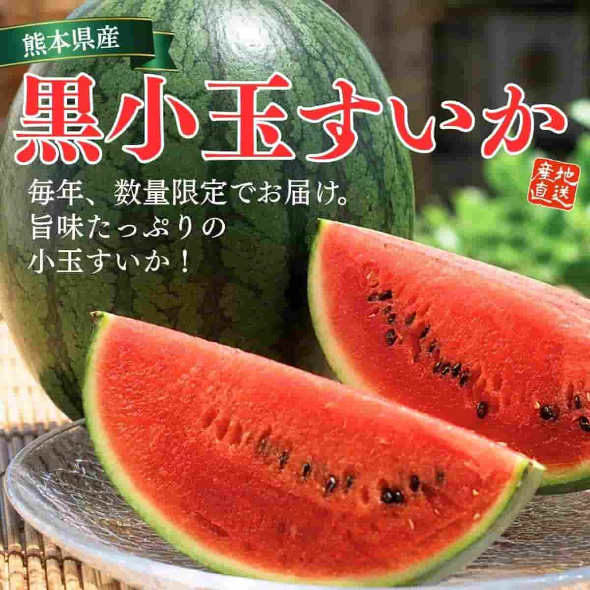 【定期お届け便6月】 植木町の「黒小玉すいか」1玉