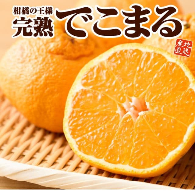 【定期お届け便3月】九州産「でこまる（不知火）」（約2kg）