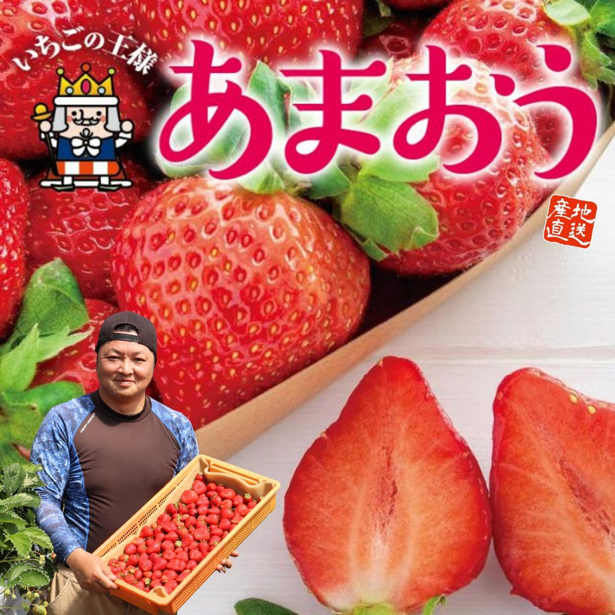【定期お届け便4月】福岡県産「あまおう」（約400g）※クール便