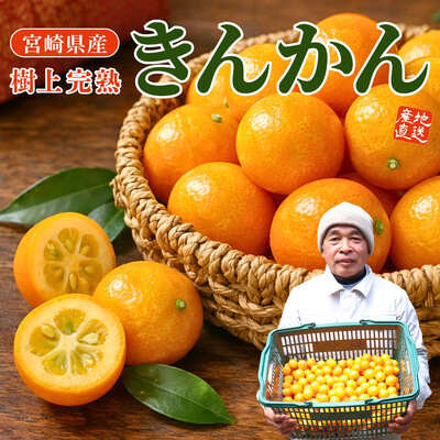 宮崎県産「樹上完熟 きんかん」（約1kg）