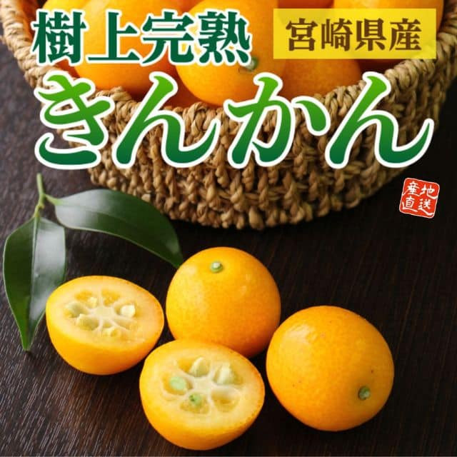 宮崎県産「樹上完熟 きんかん」（約1kg）