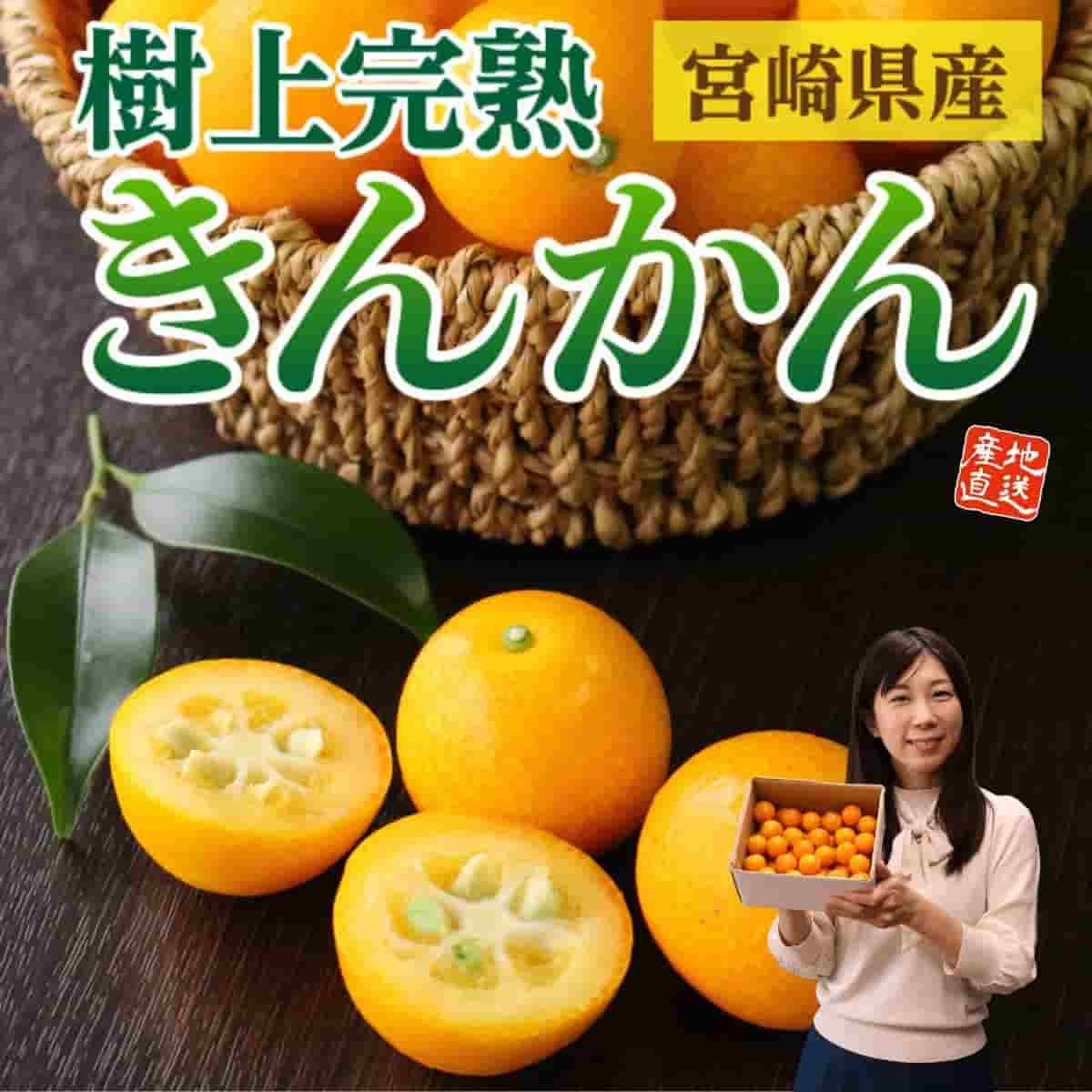 宮崎県産「樹上完熟 きんかん」（約1kg）