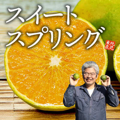 佐賀県産「完熟 スイートスプリング」（約２kg）