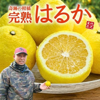 佐賀県産「完熟 はるか」（約２kg）