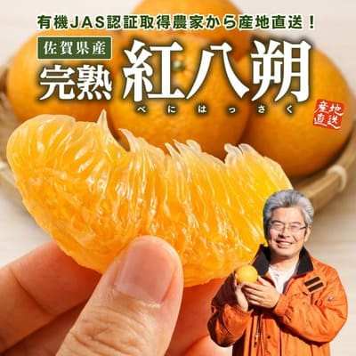 佐賀県産「完熟　紅八朔」（約２kg）