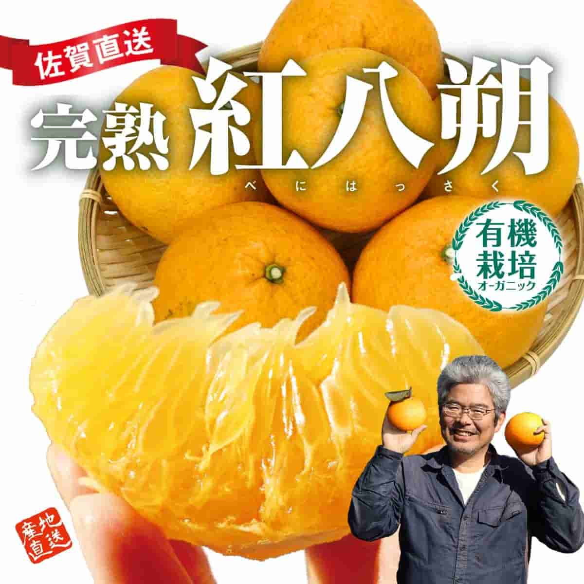 佐賀県産「完熟　紅八朔」（約２kg）