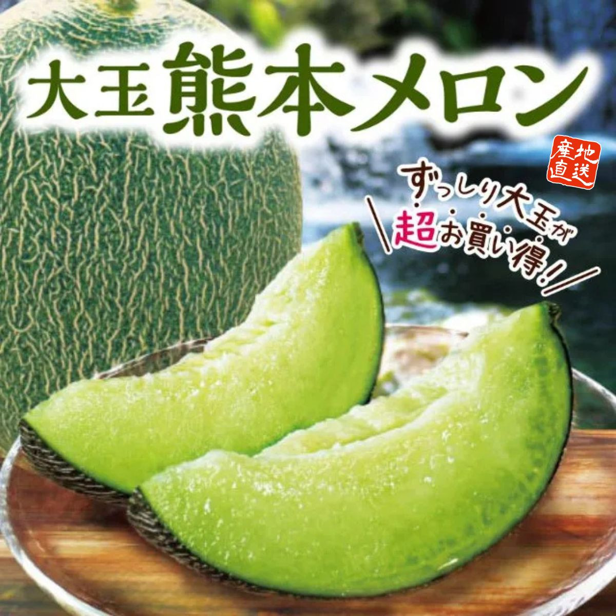 熊本県産「熊本メロン」肥後グリーン（1玉約1.5ｋｇ）