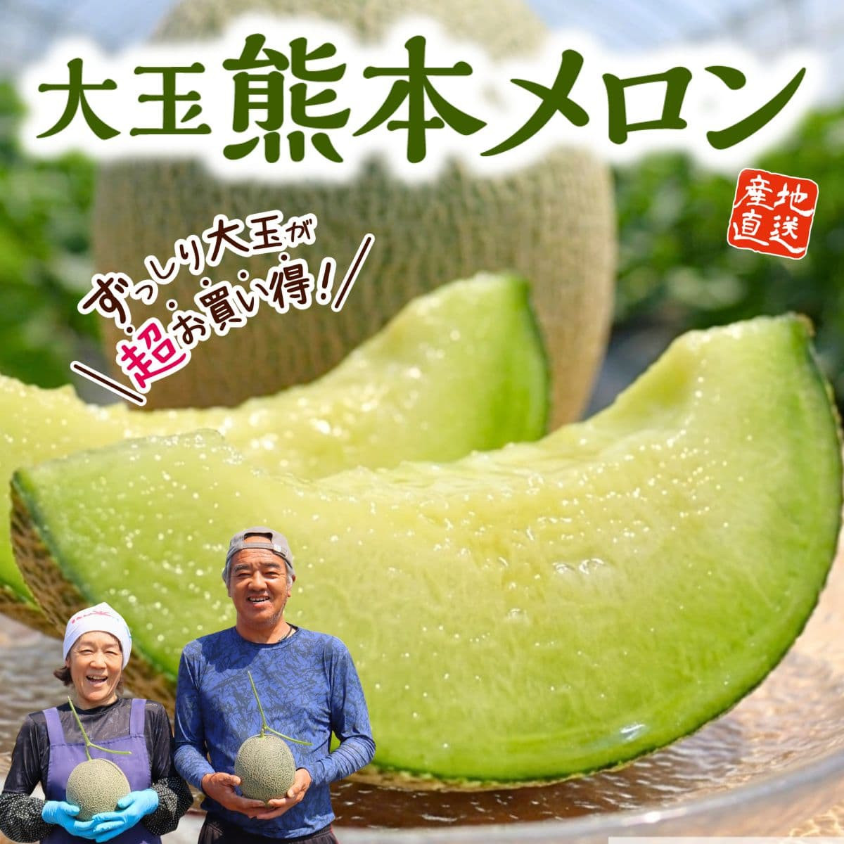 熊本県産「熊本メロン」肥後グリーン（1玉約1.5ｋｇ）