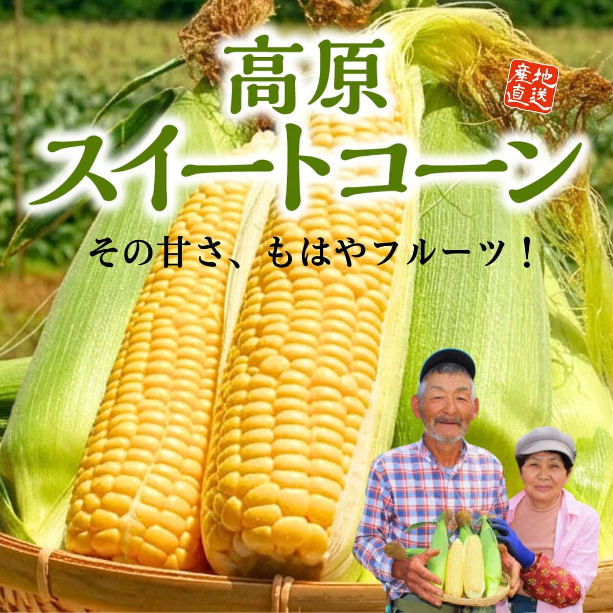 大分県産「高原スイートコーン」(約2kg)