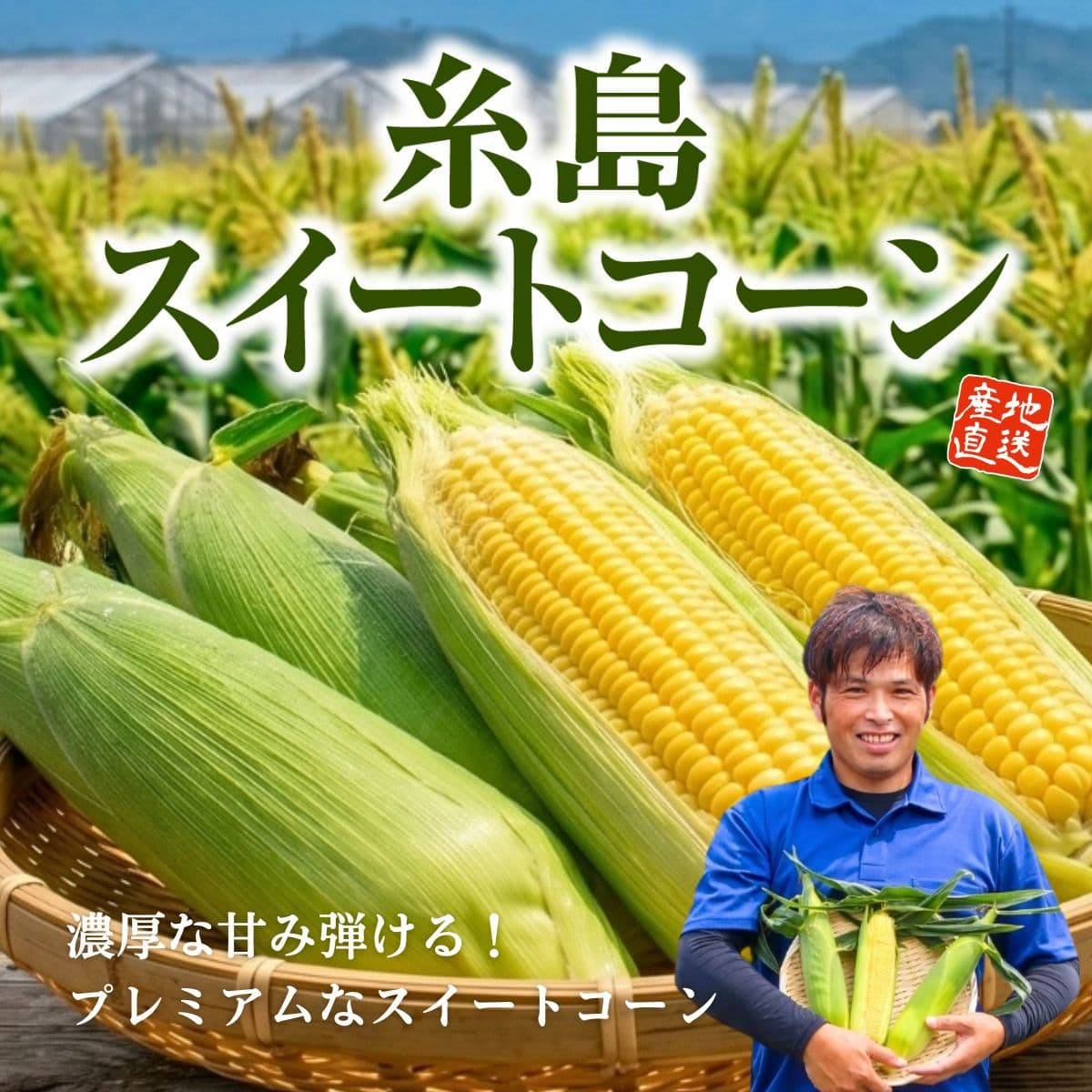 福岡県産「糸島スイートコーン」(約2kg)