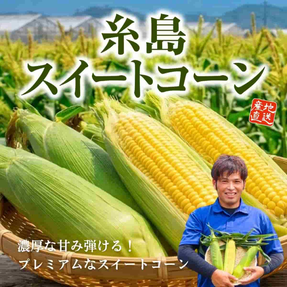 福岡県産「糸島スイートコーン」(約2kg)