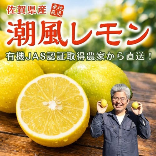 佐賀特産「潮風レモン」（約1kg）
