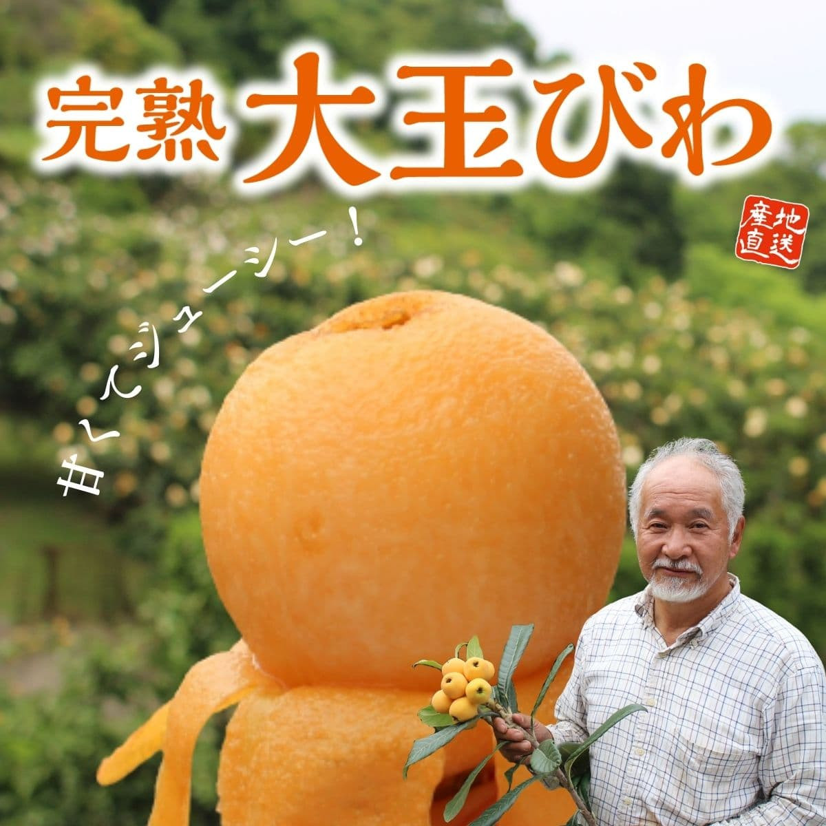 長崎特産「完熟 大玉びわ」（約500g・9玉入）