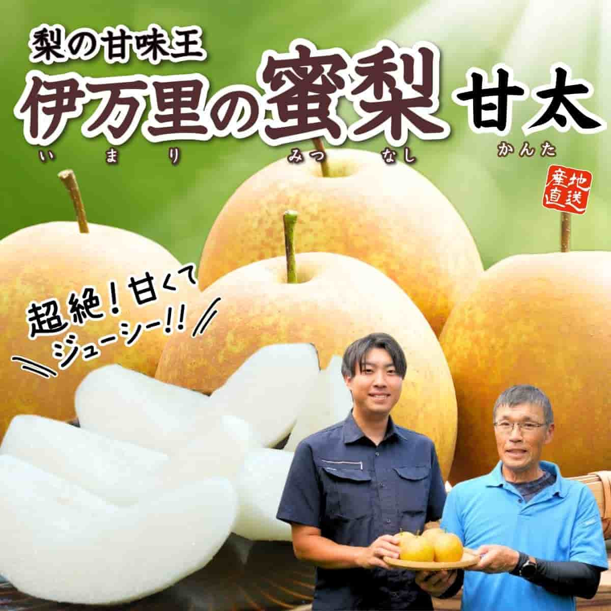 佐賀県産「伊万里の蜜梨」甘太（約2㎏）
