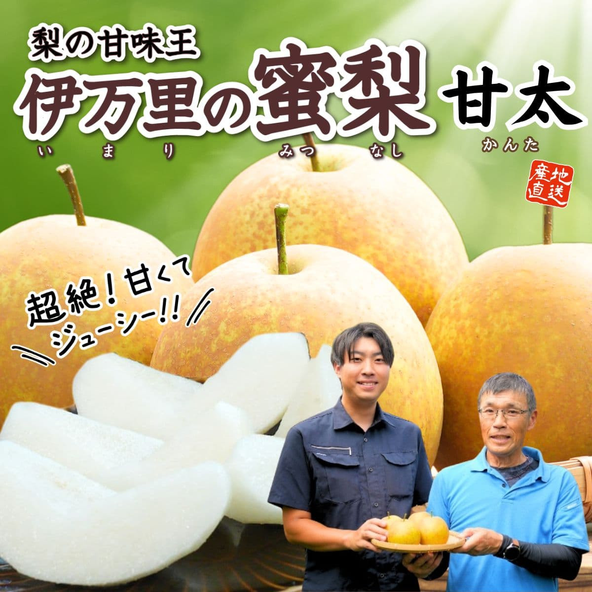 佐賀県産「伊万里の蜜梨」甘太（約2㎏）