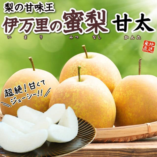 佐賀県産「伊万里の蜜梨」甘太（約2㎏）