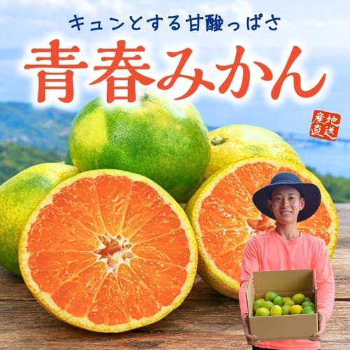 熊本・福岡県産「青春みかん」極早生（約2.5kg）