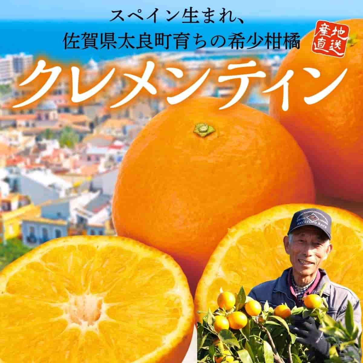 佐賀県産「クレメンティン」（約2kg）