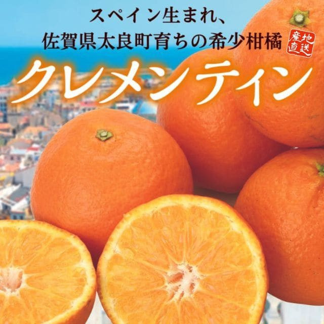 佐賀県産「クレメンティン」（約2kg）