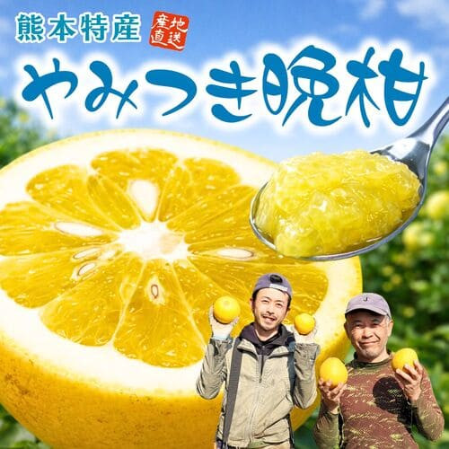 熊本県産「やみつき晩柑」（約２kg）