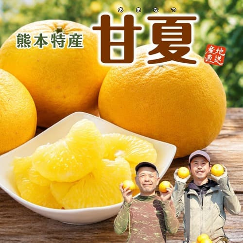 熊本県産「甘夏」（約２kg）