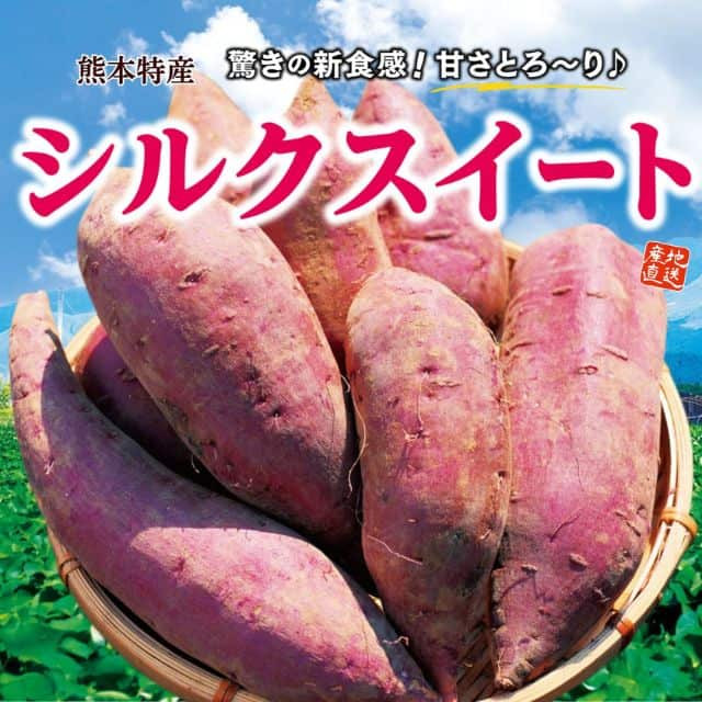 熊本特産 「シルクスイート」（約2kg）