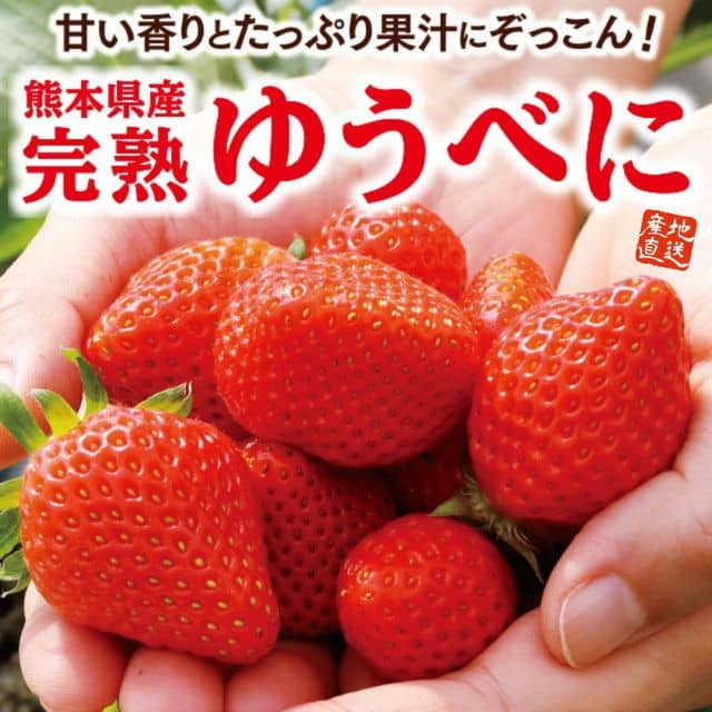 熊本県産「完熟ゆうべに」 1箱（約350g）